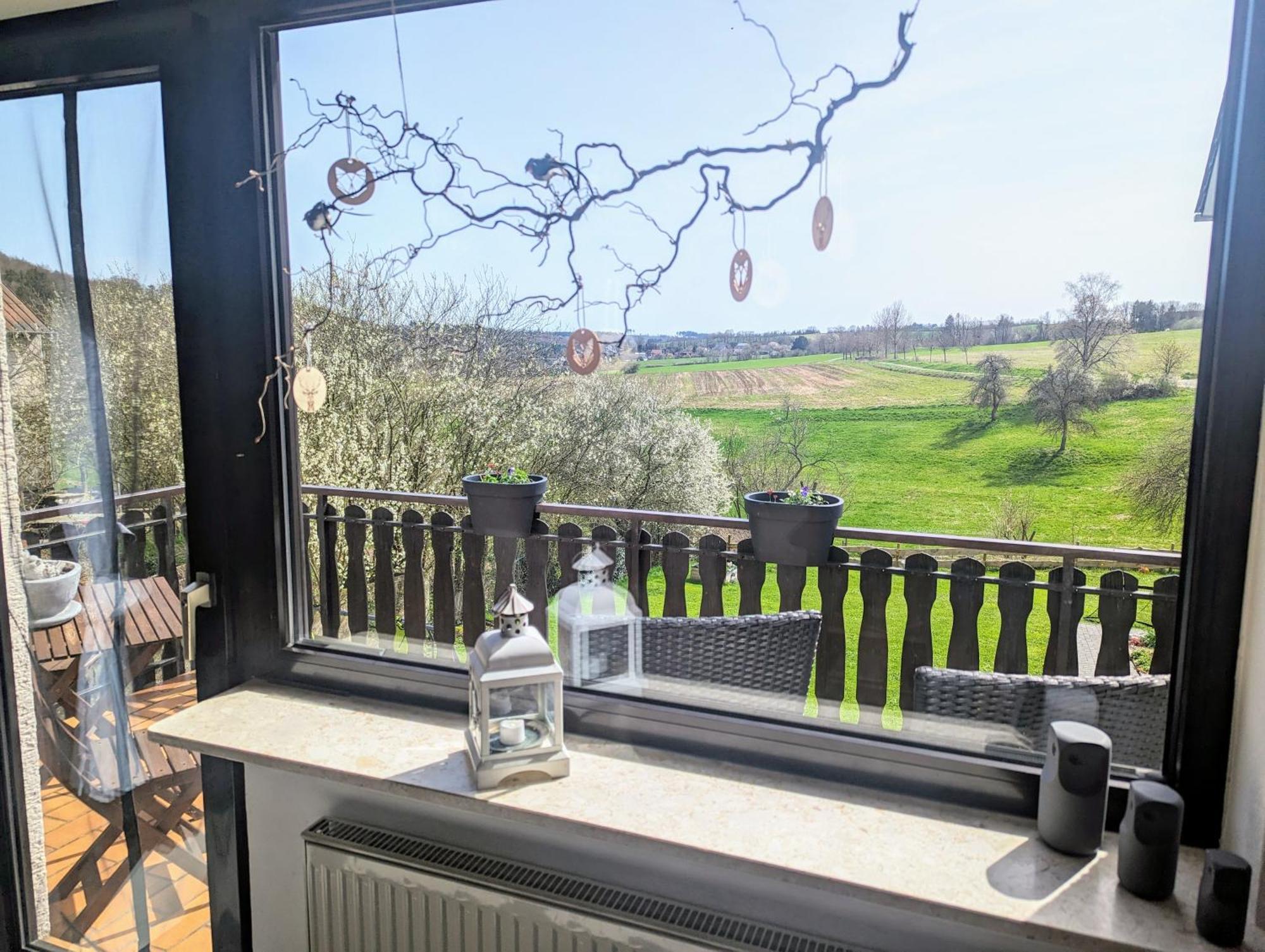 Ferienwohnung Christine Mit Sauna Und Whirlpool Utzerath Extérieur photo